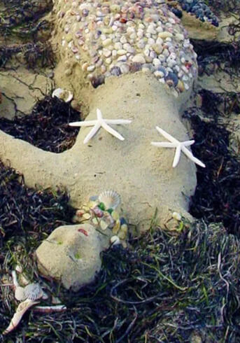 NISDA Sandcastle